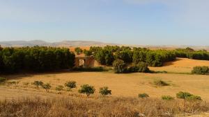 Pont de Chemin de Fer