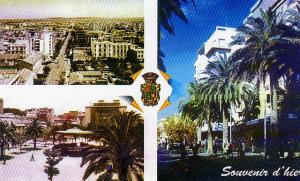 Souvenir de  Sidi-Bel-Abbes