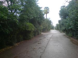 Jardin Public de Sidi Bel Abbes