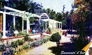 Souvenir de  Sidi-Bel-Abbes - Jardin Public