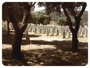 Cimetière Britannique Annaba, Algerie