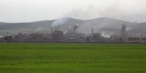 Complexe d'El Hadjar à Annaba