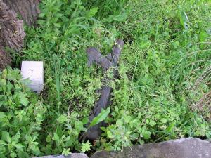 Cimetière Chrétien de Annaba