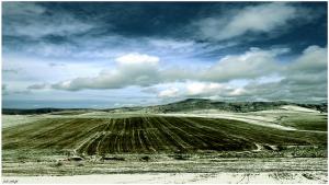 Champ Agricole près de Annaba
