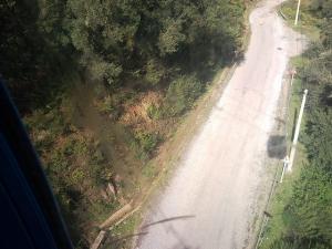 Route Forestière à Annaba