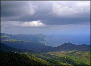 Vastes forêts entourant la ville de Annaba