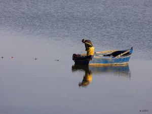 Pêcheur de Annaba