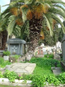 Cimetière Chrétien de Annaba