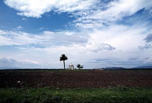 Marabout dans les environs de Annaba