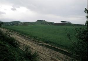 Champ Agricole à Annaba