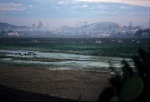 Complexe d'El Hadjar vu de loin