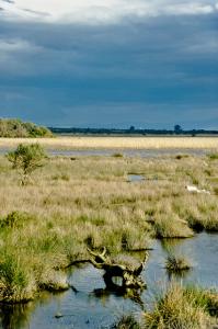 Paysage d'été à Annaba