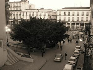 Vie quotidienne à Annaba