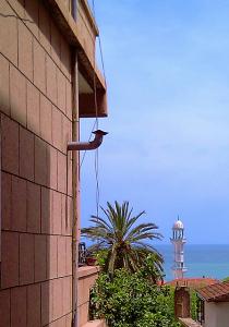 Minaret de mosquée à Annaba