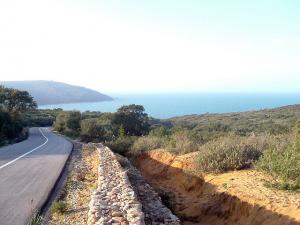 La route - Cap Rosa (Annaba)