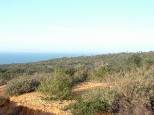 Région de Cap Rosa (Annaba)