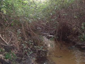 Source d'eau (Cap Rosa)