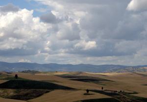 Entre Annaba et Constantine, champs et nuages