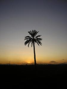 Complexe el Hadjar à Annaba