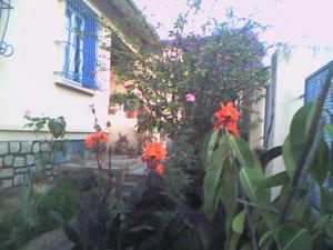 Jardin Fleuri à  Annaba