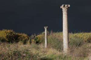 Ruines Romaines de Annaba