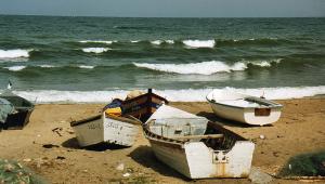 Port de Pêche de Annaba