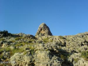 Paysage de la région de Guelma