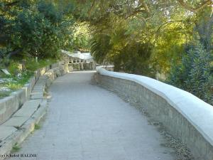 Allée du Jardin de Guelma