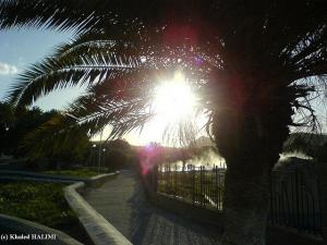 Jardin Public de Guelma