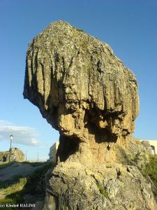 Oeuvre d'Art Façonnée par la nature