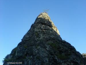 Rocher en forme de Colonne