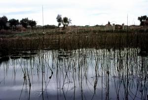 Bassin Romain Héliopolis près de Guelma