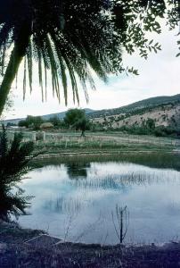Bassin Romain Héliopolis près de Guelma