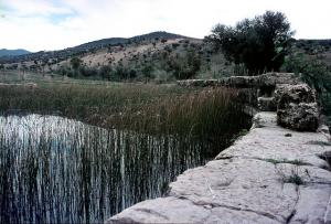 Bassin Romain Héliopolis près de Guelma