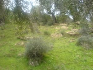 Parc Naturel près de Guelma
