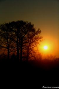 Lever de Soleil dans la Région de Guelma