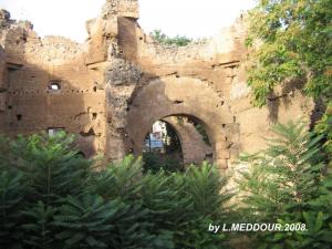 Ruines Romaines à Guelma