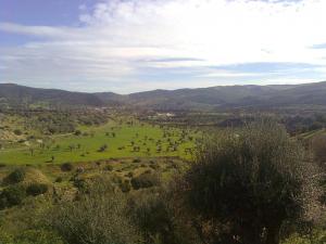 près de Hammam Guelma