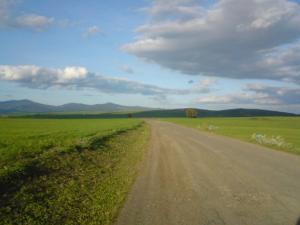 Khezaras - Ben Smih - Wilaya de Guelma