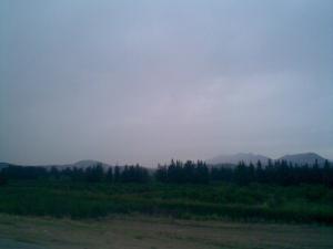 L'Entrée de Guelma  (Les Jardin d'Oranges)