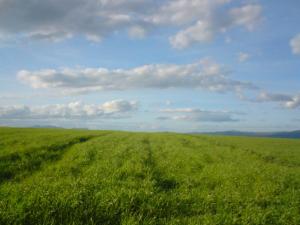 Khezaras - Ben Smih - Wilaya de Guelma