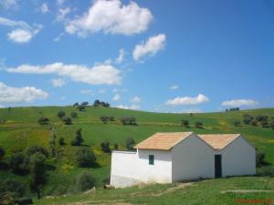 Maison Isolée à Guelma
