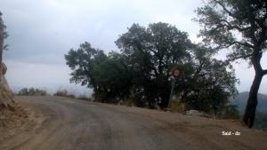 Sur les Hauteurs de Maouna - Guelma