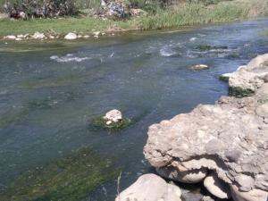 Oued Sibous à Guelma