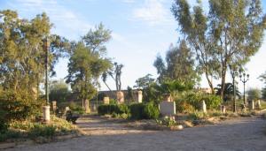 Jardin Archéologique