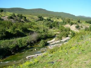 Hammam Ouled Ali (Guelma)