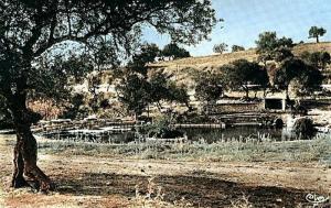 Hammam Bradaa (Héliopolis)