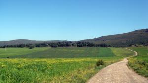 Cimetiere Sidi Dhaif (Guelma)