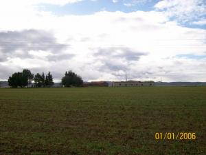 Champ Agricole près de Guelma