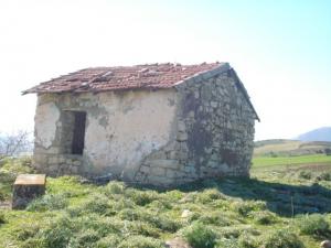 Vieille Baraque en Ruine (Guelma)